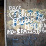 vico_conservatori_del_mare4